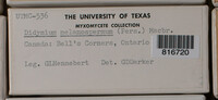 Image Associated With the Occurence